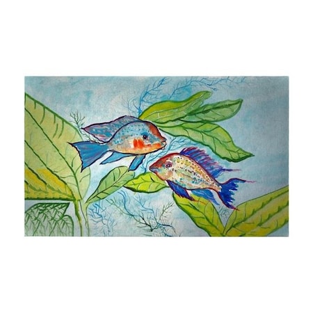 Betsy Drake Betsy Drake DM642G Pair of Fish Door Mat - 30 x 50 in. DM642G